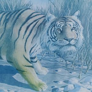 Bayou Bengal Tiger by Robert Tinney Gold Framed  Print Art Winter Snow